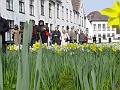 13_Bruges_Beguinage_2 (Sommier)
